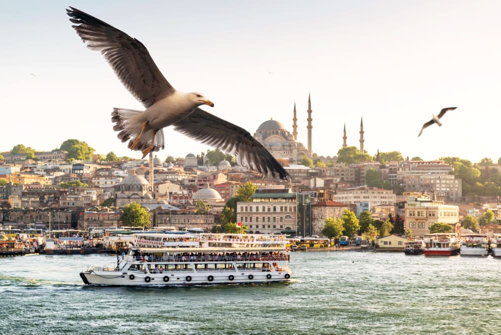 Golden Horn - Istanbul i Tyrkiet