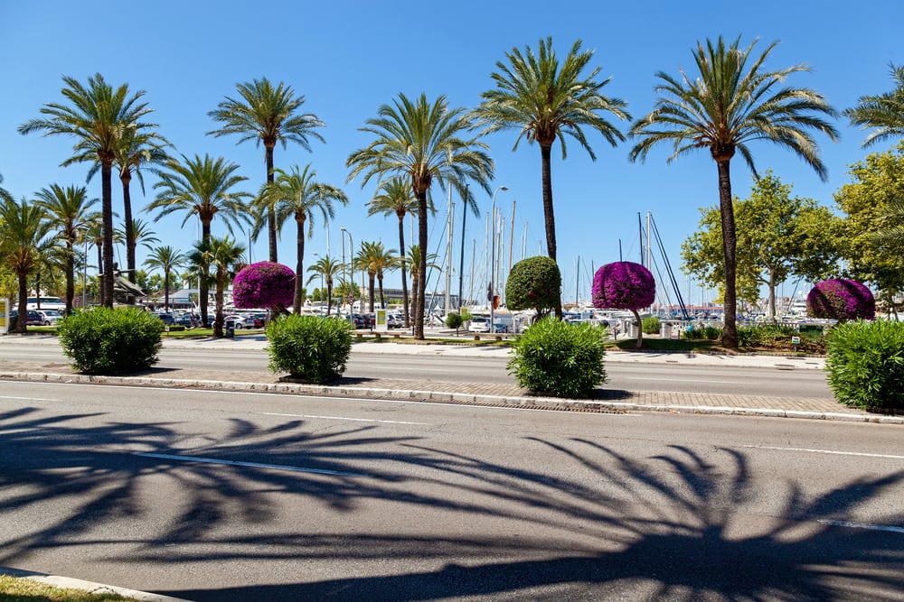 Palma de Mallorca - Mallorca i Spanien