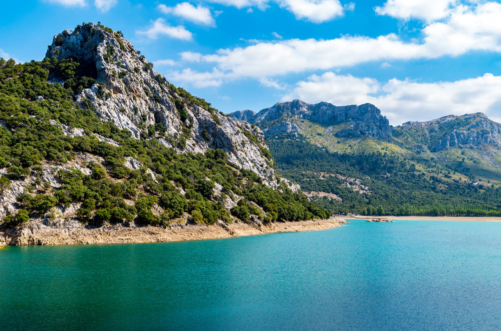 Panta de gorg blau - Mallorca i Spanien