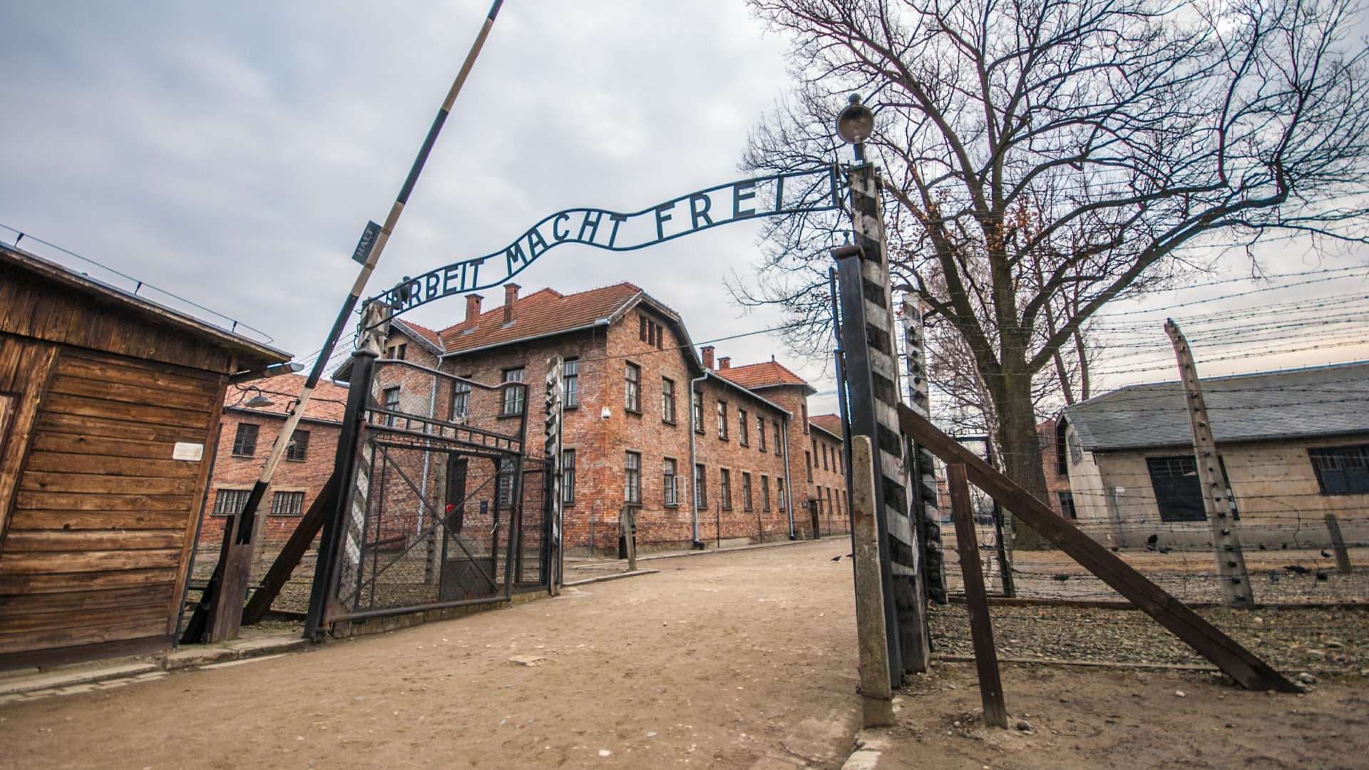 Besøg Krakow og Auschwitz