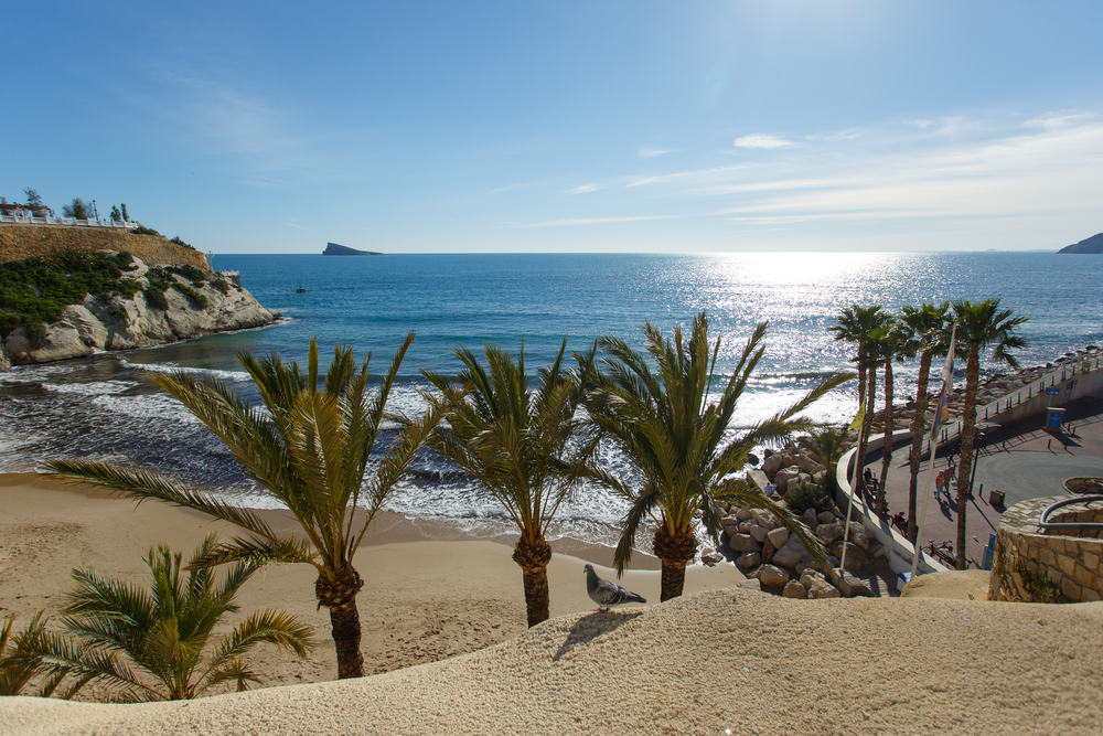 Benidorm Poniente Strand - Alicante i Spanien