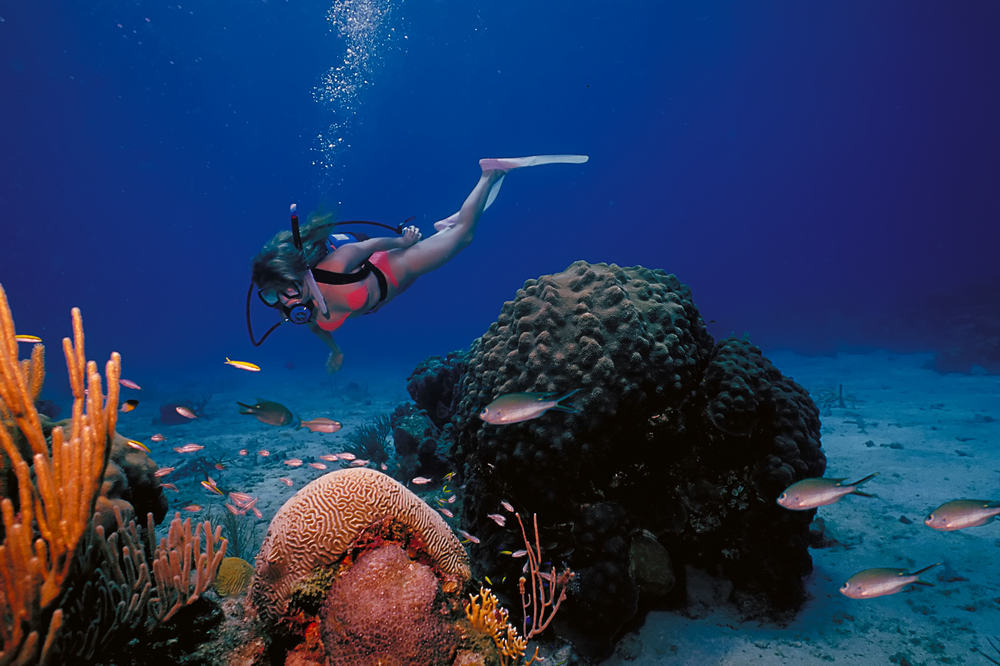 Dykning - Sankt Croix på Jomfruøerne