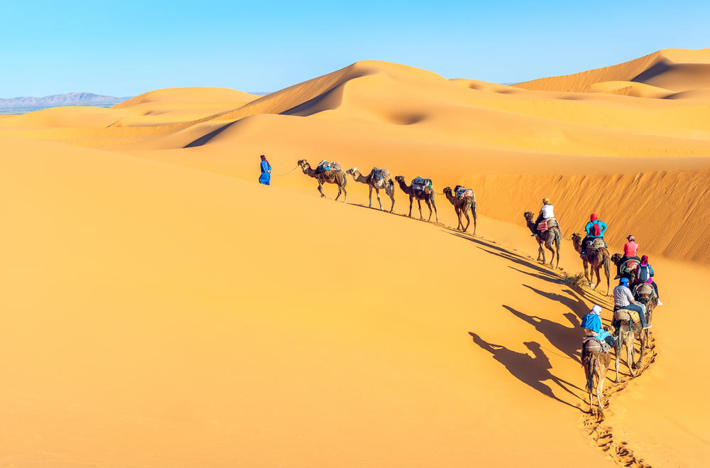 Kameltur i Sahara ørkenen - Marokko