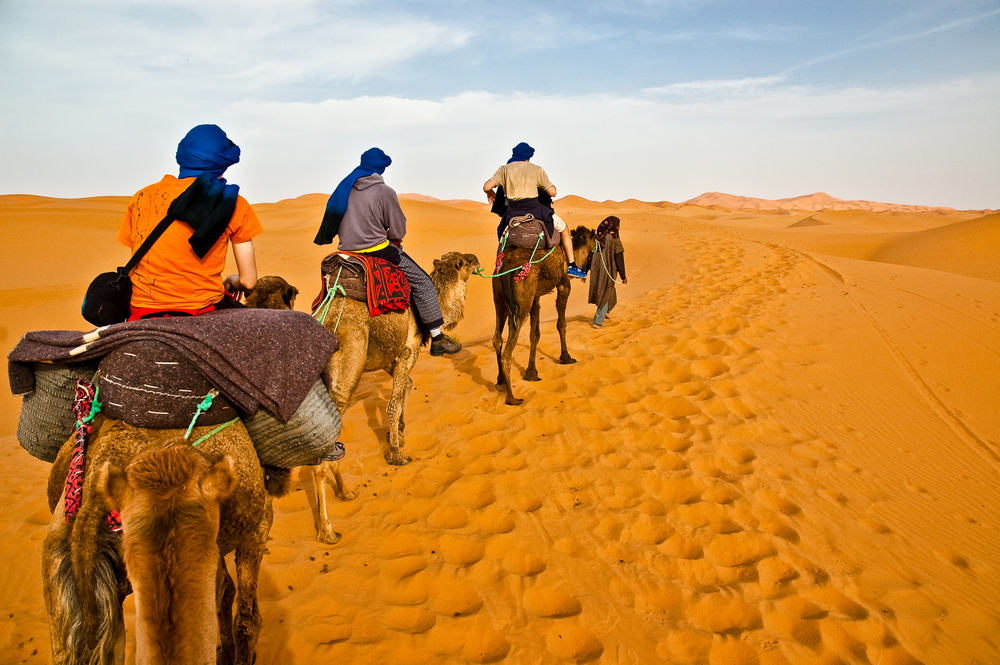Kameltur i Sahara ørkenen - Marokko