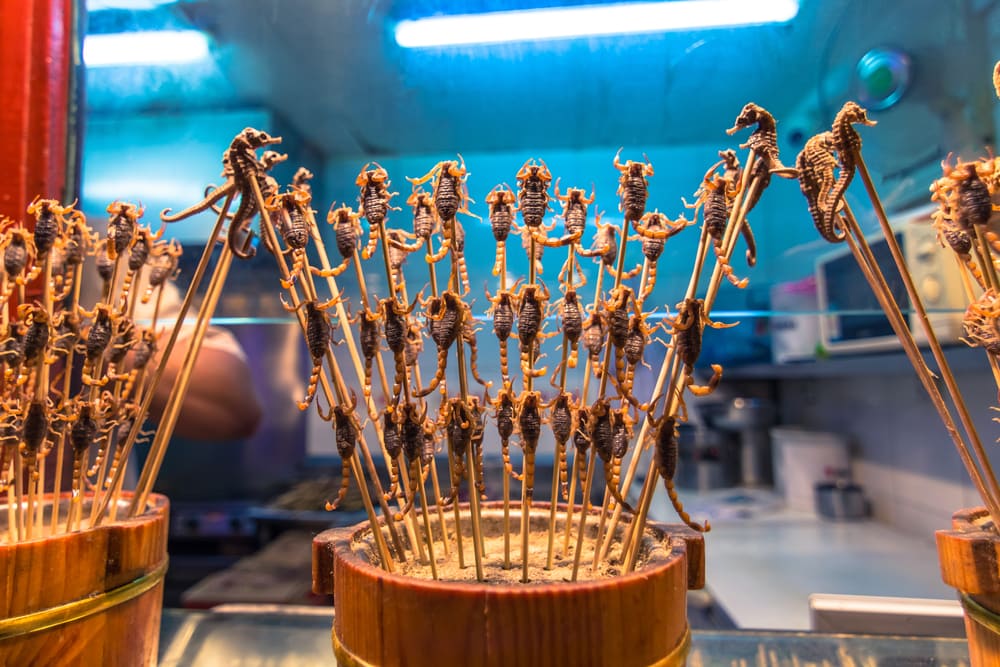 Stegte skorpioner - Beijing i Kina