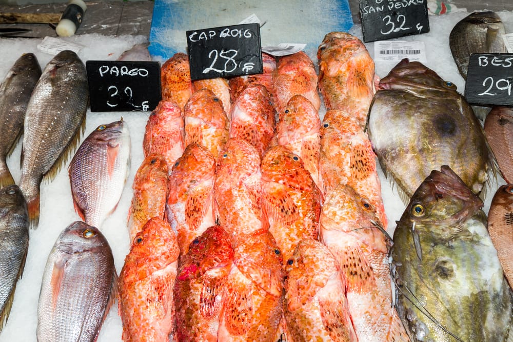Fiskemarked i Palma - Mallorca i Spanien