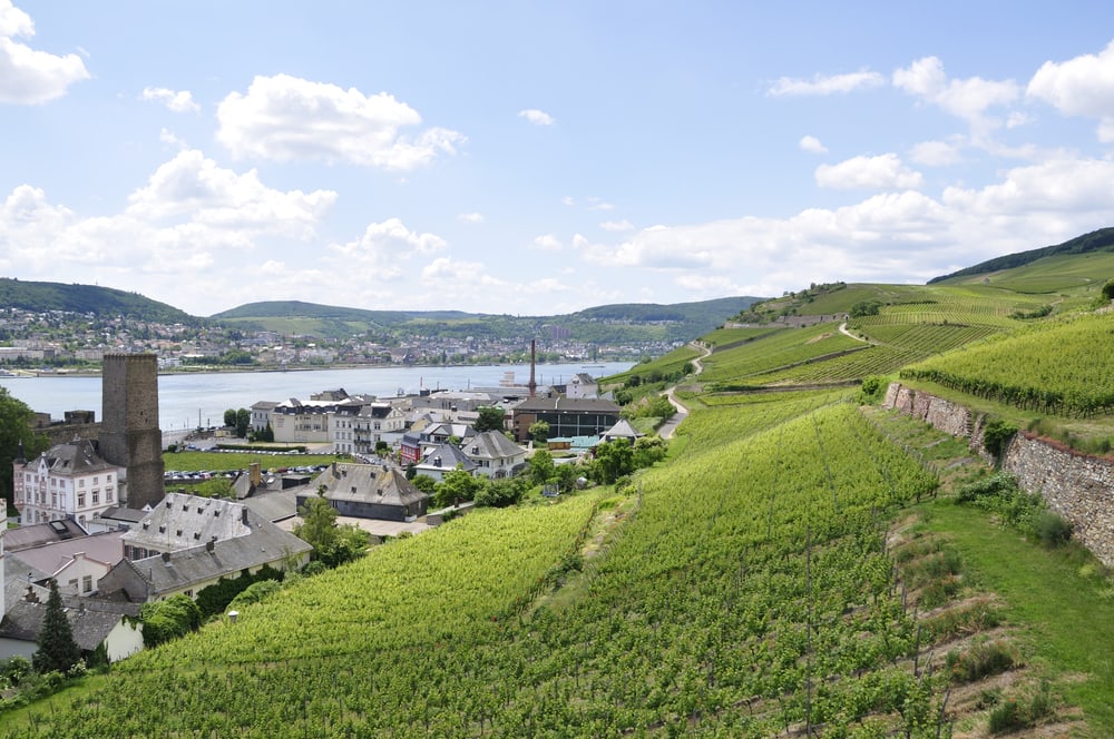 Rüdesheim am Rhein - Tyskland