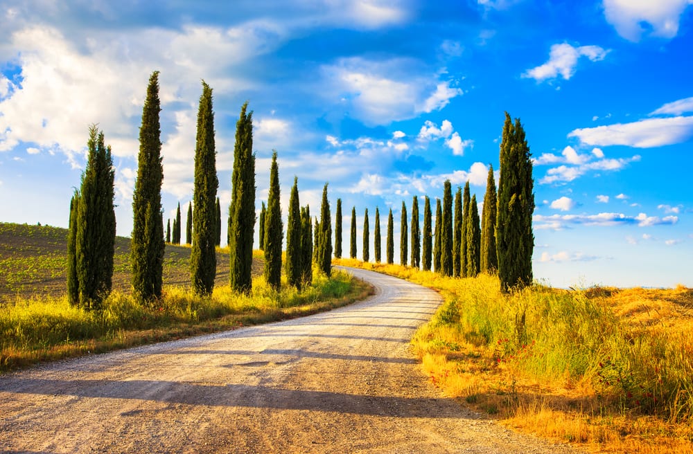 Siena - Toscana i Italien
