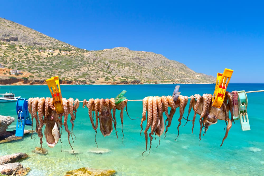 Sommerferie på Kreta i Grækenland