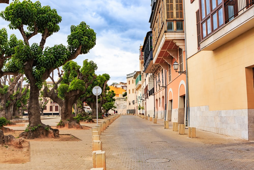 Palma de Mallorca - Mallorca i Spanien