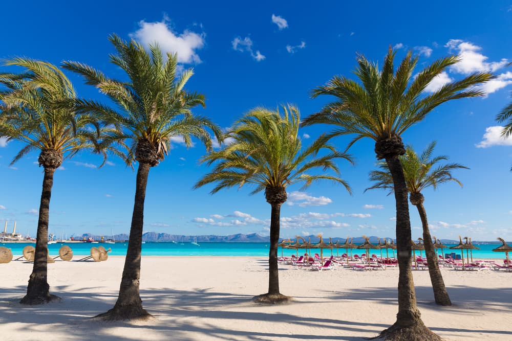 Platja de Alcudia - Alcudia på Mallorca