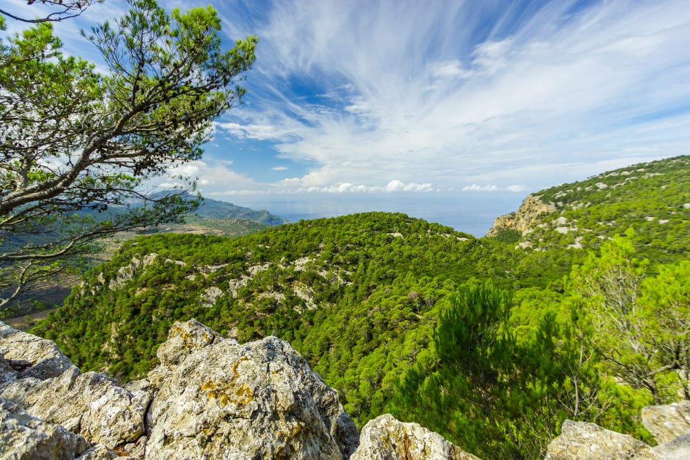 Sierra de Tramuntana - Mallorca i Spanien