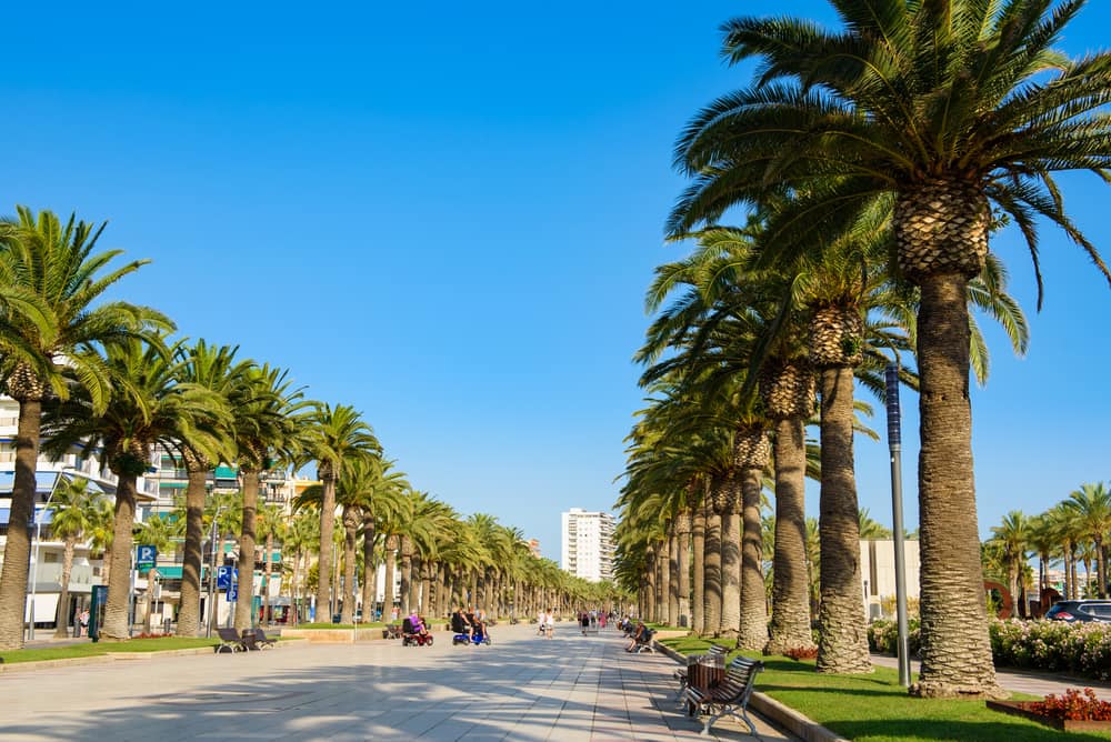 Palme allé - Salou på Costa Dorada - Spanien