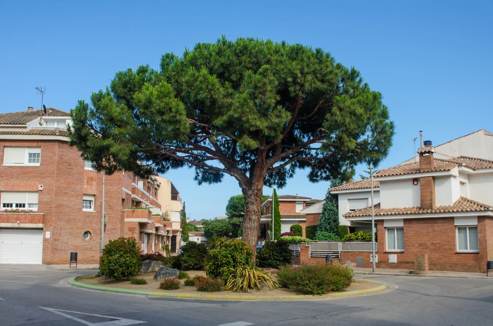 Pineda de Mar - Costa Brava i Spanien