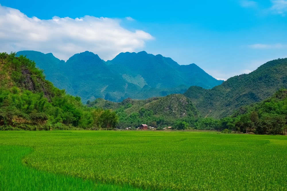 Mai Chau dalen i Vietnam