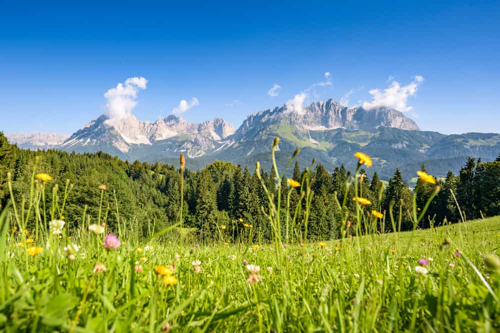 Helpension i Tyrol