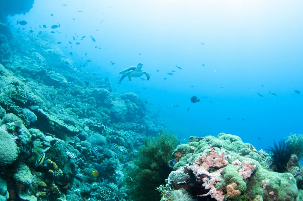 Nusa Lembongan Island - Indonesien