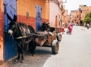 Billig ferie i Marokko
