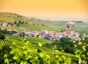 Barolo-vinregionen i Pietmont i Italien