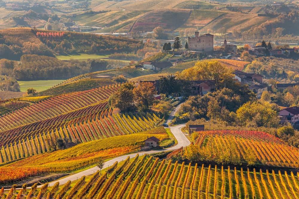 Vineventyr i Pietmont-regionen i Italien