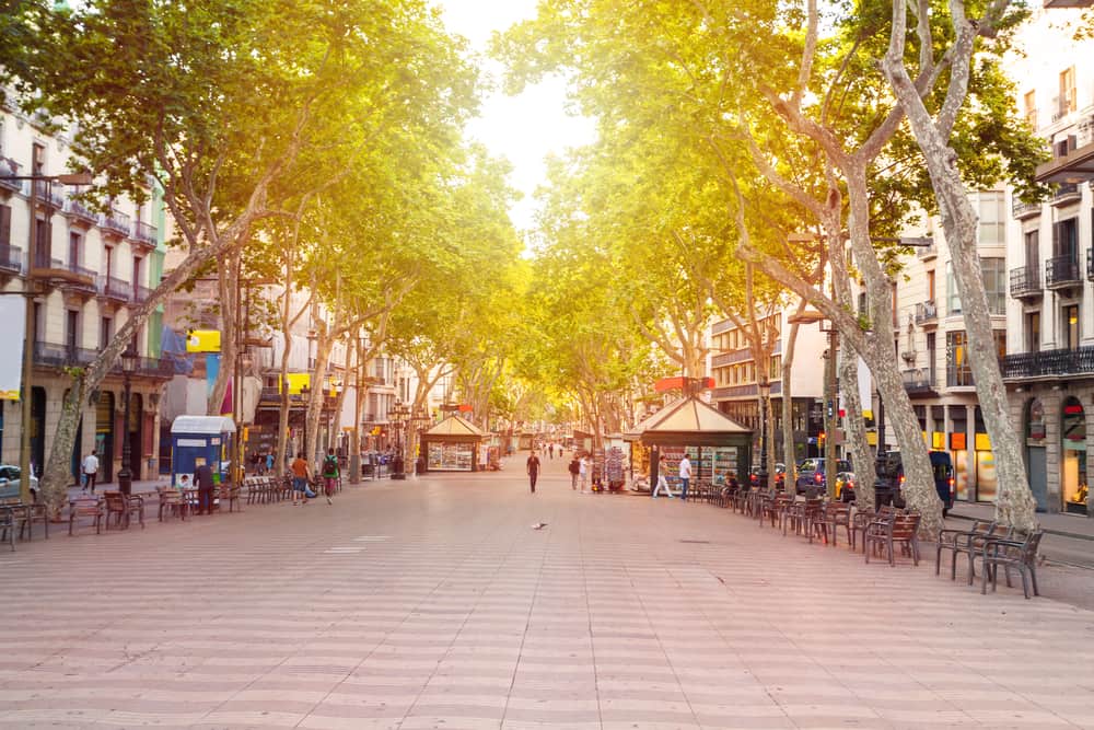 Barcelonas mest populære gade - La Rambla - på en tidlig morgen stort set uden mennesker