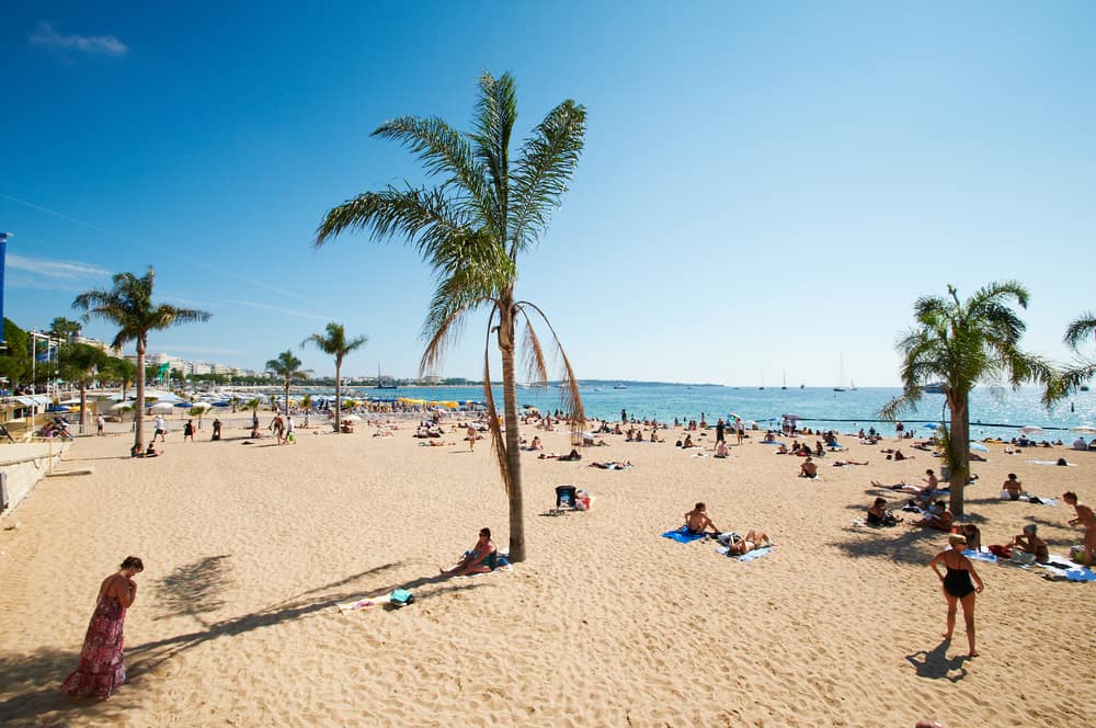 Strand med palmer i Barcelona og Middelhavet i baggrunden