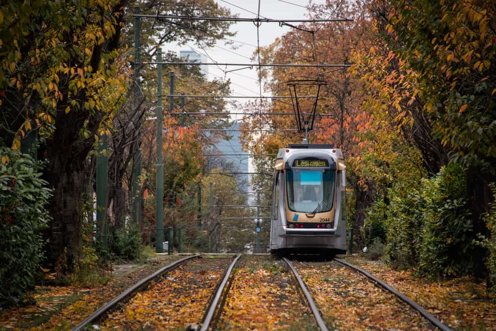 Sporvogn i Bruxelles som kører på rute omgivet af træer i efteråret. I forgrunden togskinner.