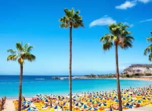 Palmer, strand og vand ved Playa de Amores på Gran Canaria i Spanien.