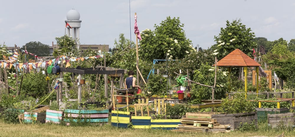 Urban gardening i Tempelhof - Berlin
