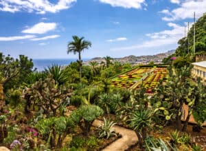 Botanisk have i Funchal - Madeira i Portugal