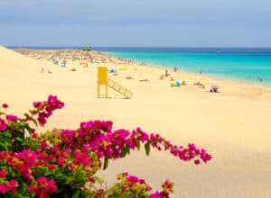 Fuerteventura i Spanien