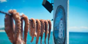 Blæksprutter til tørre - Skiathos i Grækenland