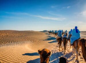 Kameler i Sahara - Tunesien