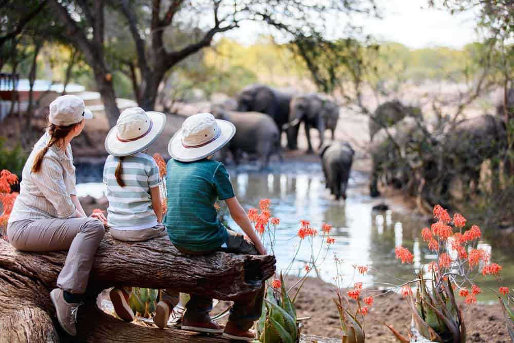 Familie safari i afrika