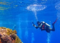 Dykning i Det Røde Hav - Hurghada i Egypten